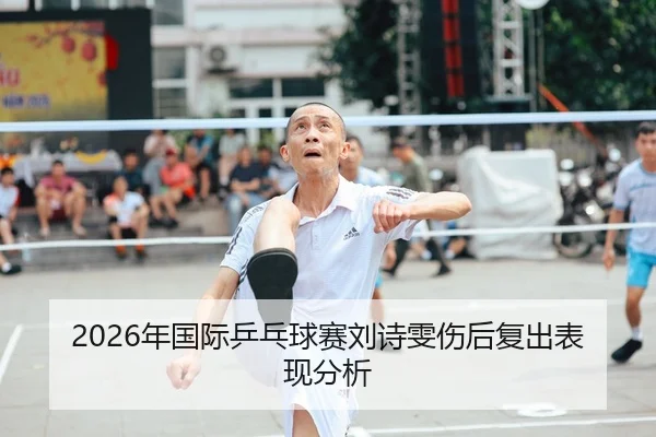 nian-guo-ji-ping-pang-qiu-sai-liu-shi-wen-shang-hou-fu-chu-biao-xian-fen-xi-1-266.jpg
