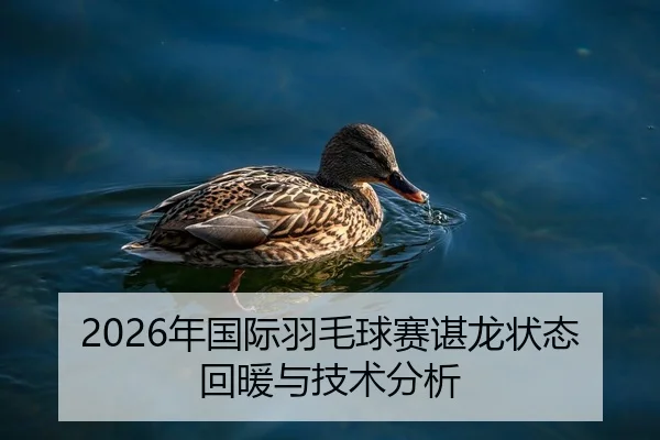 2026年国际羽毛球赛谌龙状态回暖与技术分析